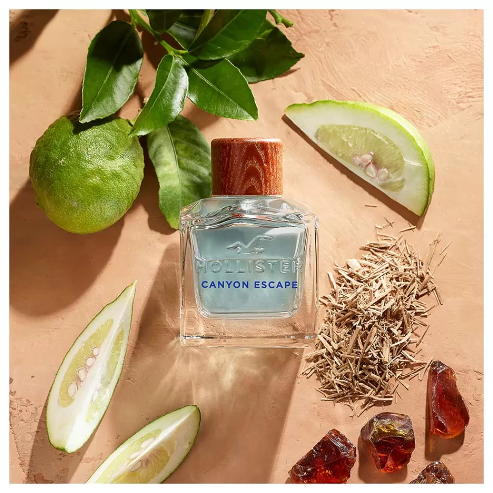 Hollister Canyon Escape For Him Best Sale