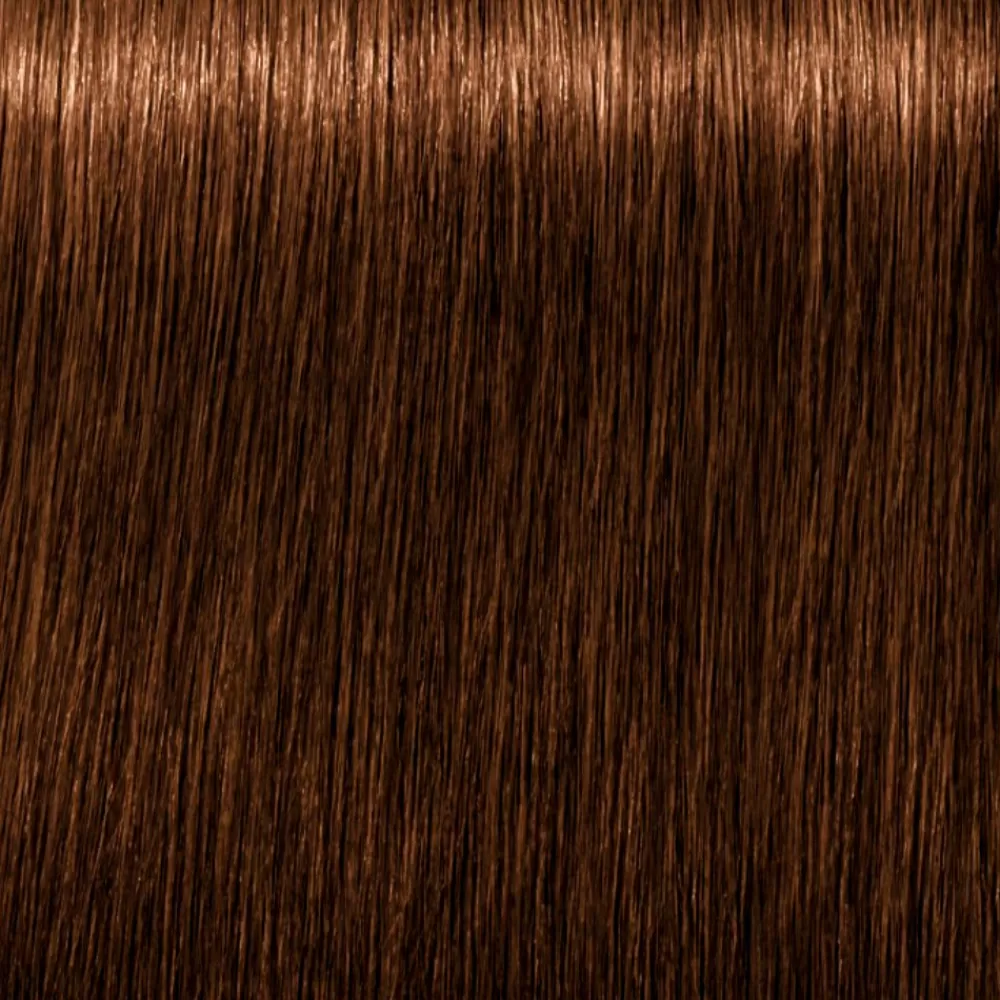 Schwarzkopf Igora Royal Absolutes 8-60 Outlet