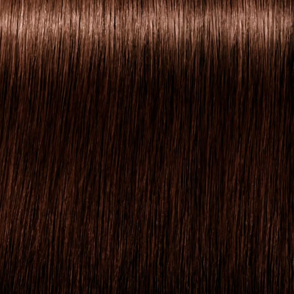 Schwarzkopf Igora Royal Absolutes Anti-Age Color Creme #5-60 Cheap