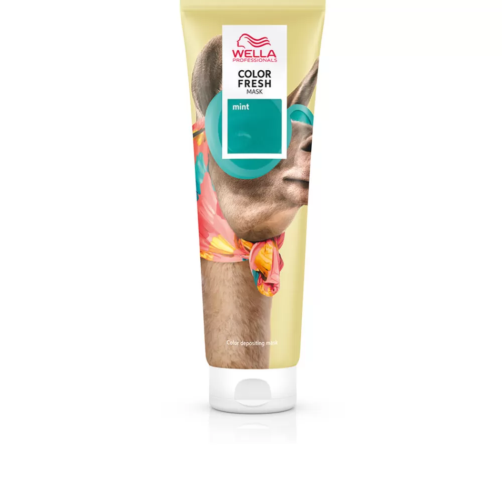 Wella Professionals Color Fresh Mask Fun New