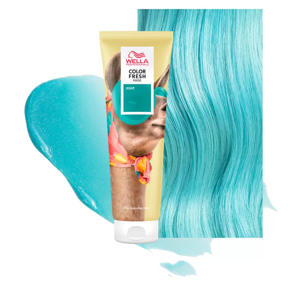 Wella Professionals Color Fresh Mask Fun New